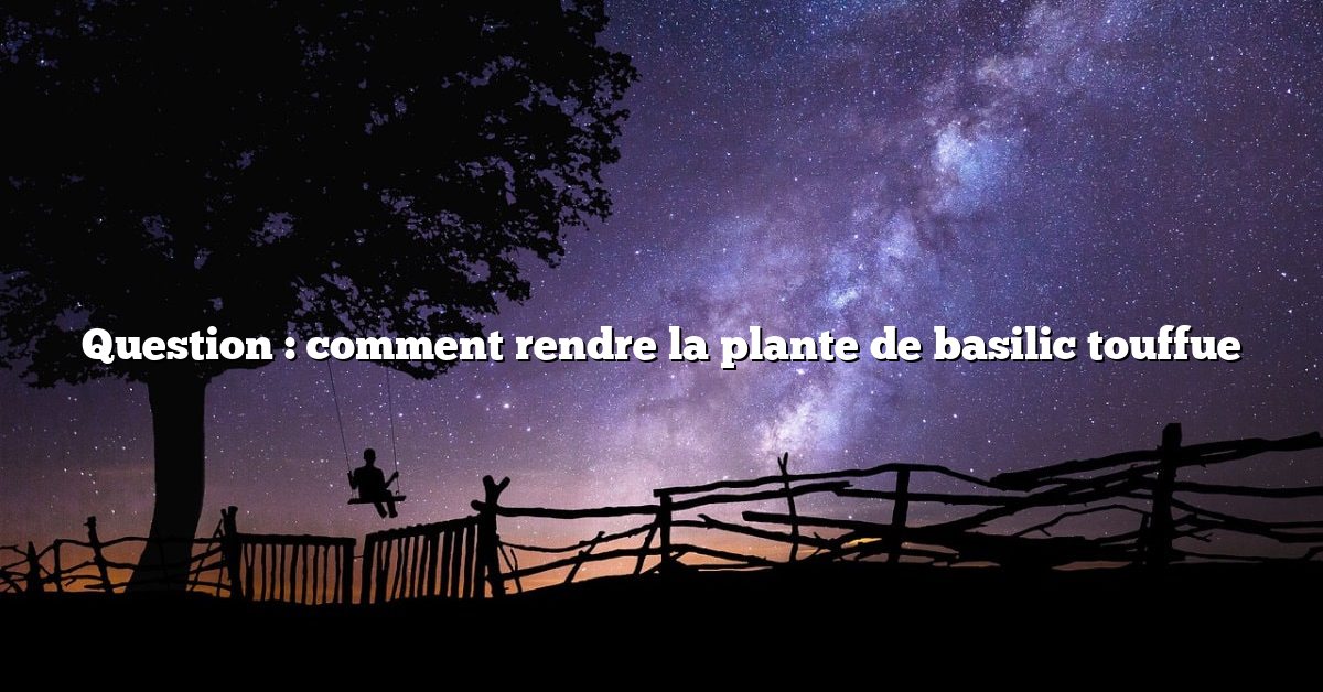 Question : comment rendre la plante de basilic touffue